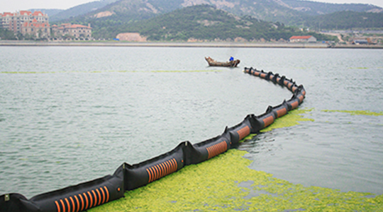 2008年7月，參加青島海域滸苔防治工作